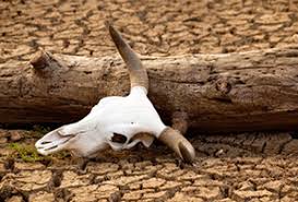Drought
